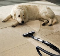 Carpet Medic carpet and upholstery cleaning 359249 Image 6